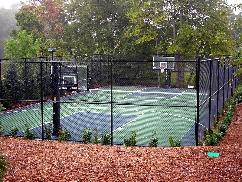 Fenced green court with basketball and shared-use markings